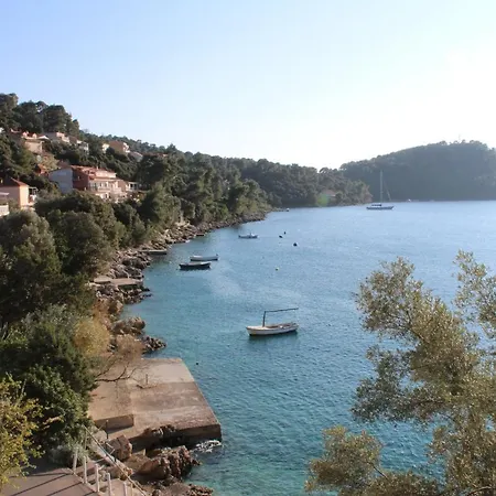 Franka Apartman Brna